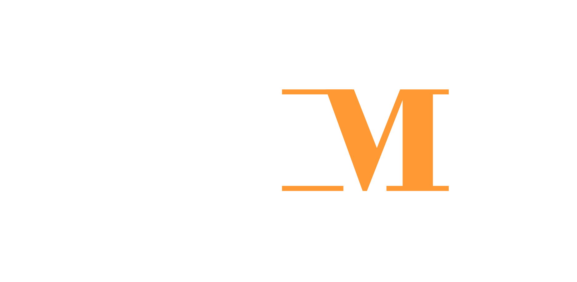 VHM Infotech